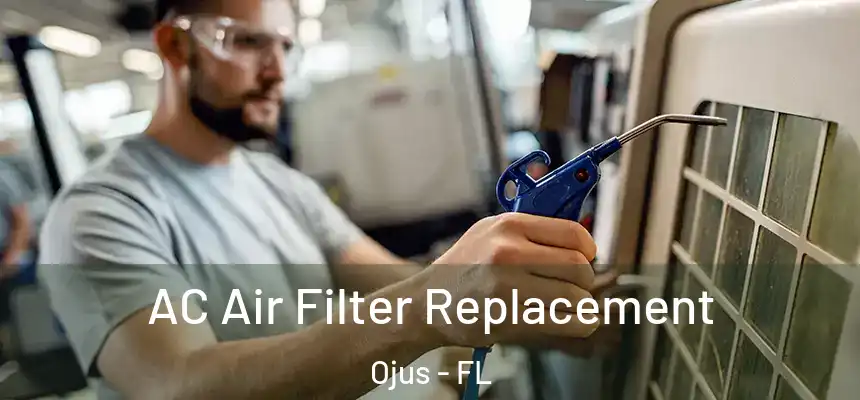 AC Air Filter Replacement Ojus - FL