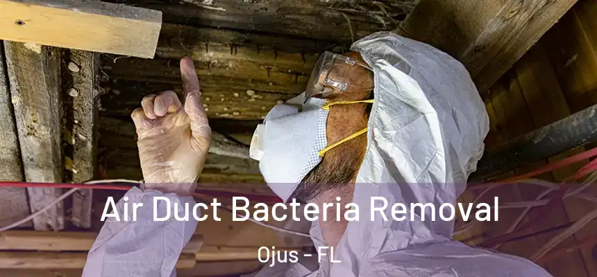 Air Duct Bacteria Removal Ojus - FL