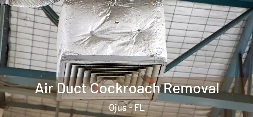 Air Duct Cockroach Removal Ojus - FL