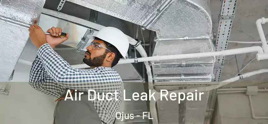 Air Duct Leak Repair Ojus - FL