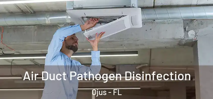 Air Duct Pathogen Disinfection Ojus - FL