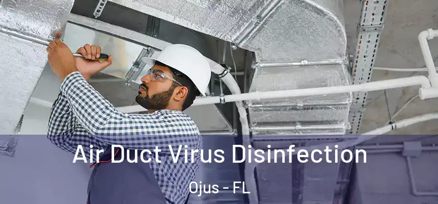 Air Duct Virus Disinfection Ojus - FL