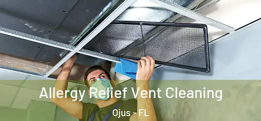 Allergy Relief Vent Cleaning Ojus - FL
