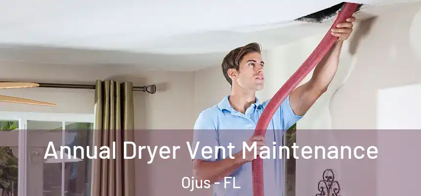 Annual Dryer Vent Maintenance Ojus - FL