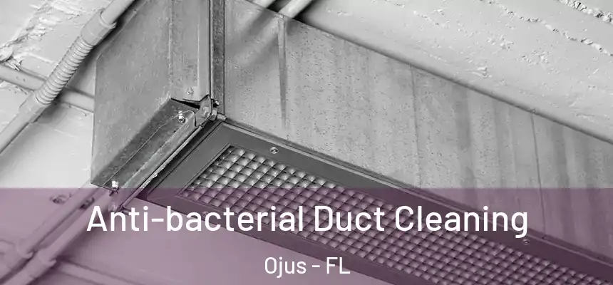 Anti-bacterial Duct Cleaning Ojus - FL