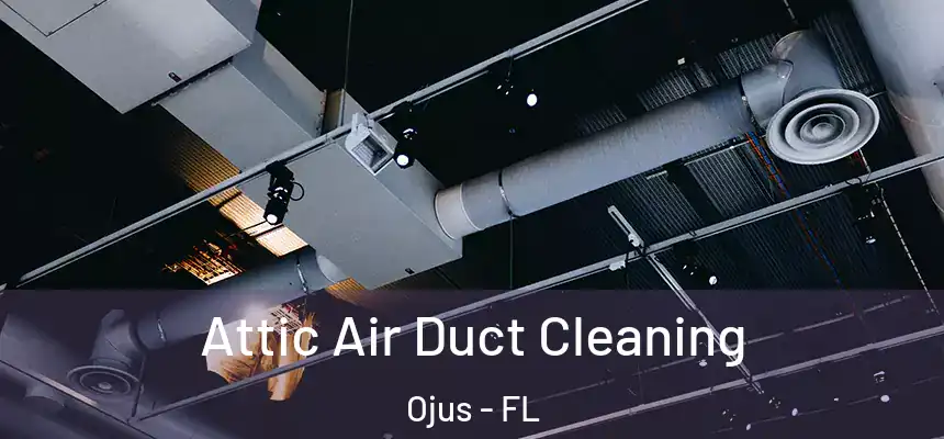 Attic Air Duct Cleaning Ojus - FL
