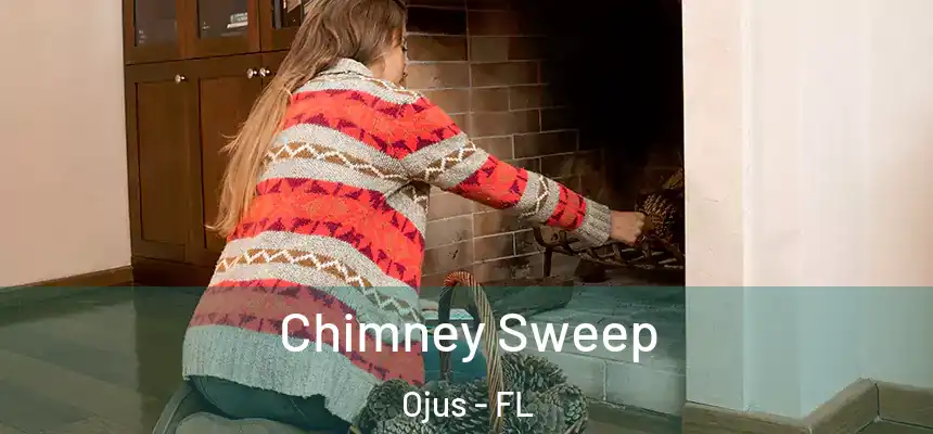 Chimney Sweep Ojus - FL