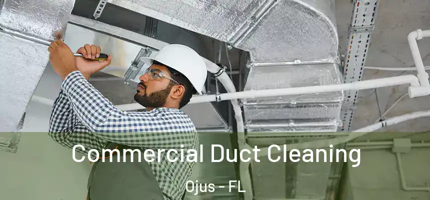 Commercial Duct Cleaning Ojus - FL
