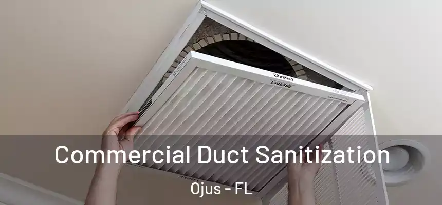 Commercial Duct Sanitization Ojus - FL