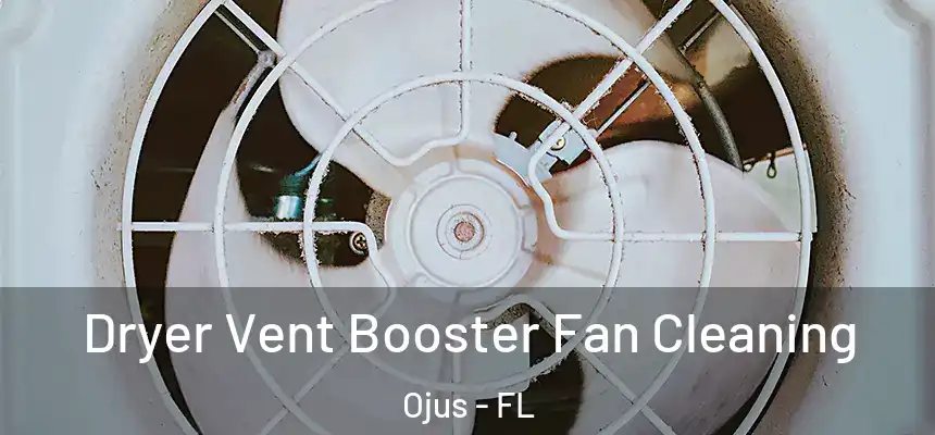 Dryer Vent Booster Fan Cleaning Ojus - FL
