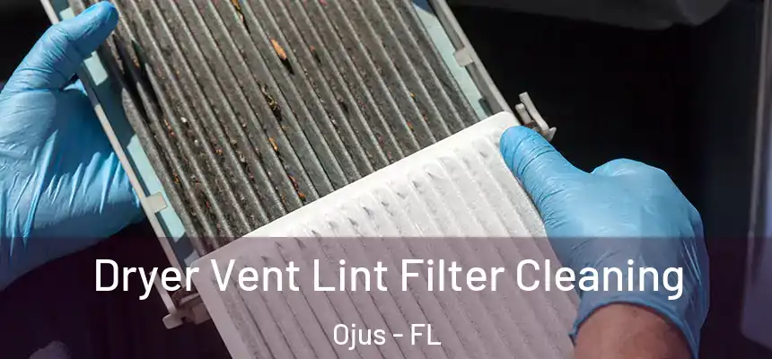  Dryer Vent Lint Filter Cleaning Ojus - FL
