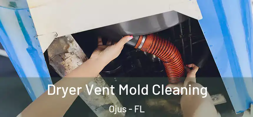 Dryer Vent Mold Cleaning Ojus - FL