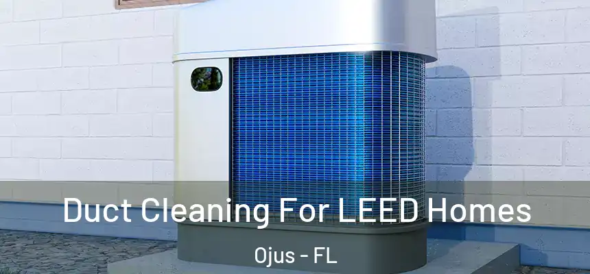 Duct Cleaning For LEED Homes Ojus - FL