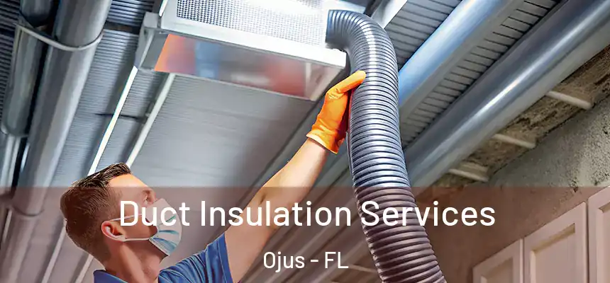 Duct Insulation Services Ojus - FL