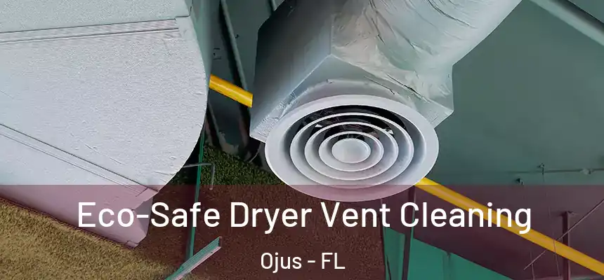 Eco-Safe Dryer Vent Cleaning Ojus - FL