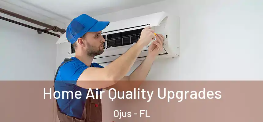 Home Air Quality Upgrades Ojus - FL