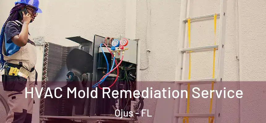HVAC Mold Remediation Service Ojus - FL