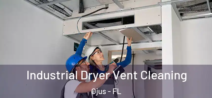 Industrial Dryer Vent Cleaning Ojus - FL