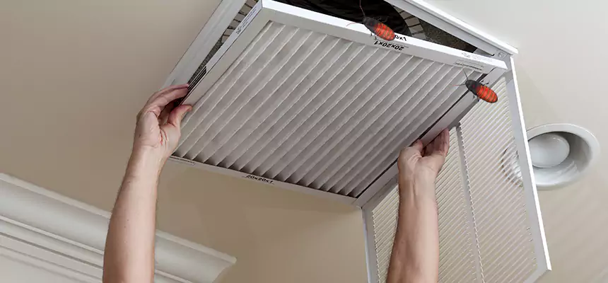 Preventive Cockroach-Proofing for Ducts in Ojus