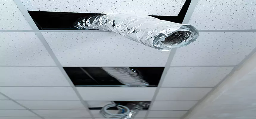 Affordable HVAC Sanitizing After Pest Removal in Ojus