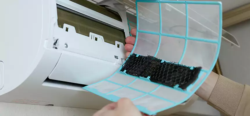 Gentle Ductwork Odor-Control Pet Dander Duct Cleaning in Ojus, FL