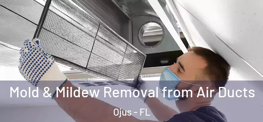 Mold & Mildew Removal from Air Ducts Ojus - FL