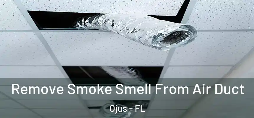 Remove Smoke Smell From Air Duct Ojus - FL