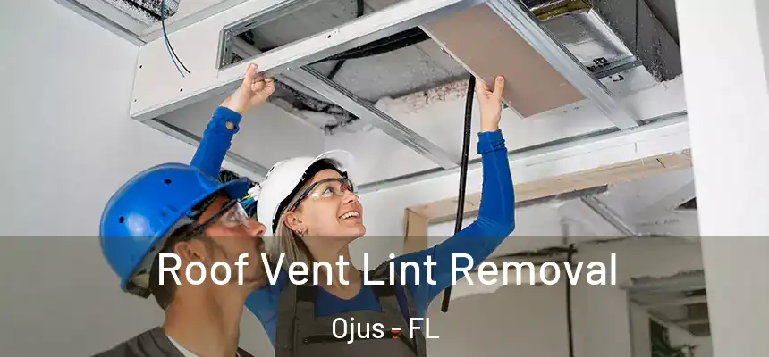Roof Vent Lint Removal Ojus - FL