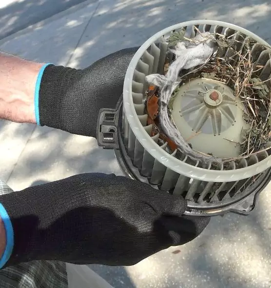 About Air Duct Mice Removal in Ojus, FL