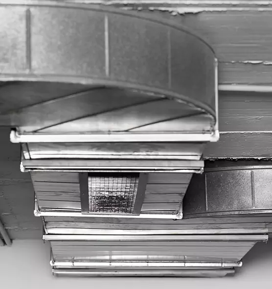 Professional Air Duct Pest Removal in Ojus, FL