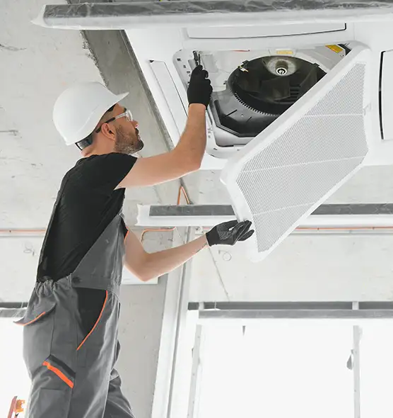 About Air Duct Rodent Removal in Ojus, FL