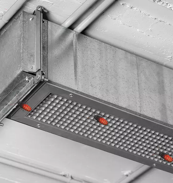 Affordable Insect Removal from Air Ducts in Ojus, FL