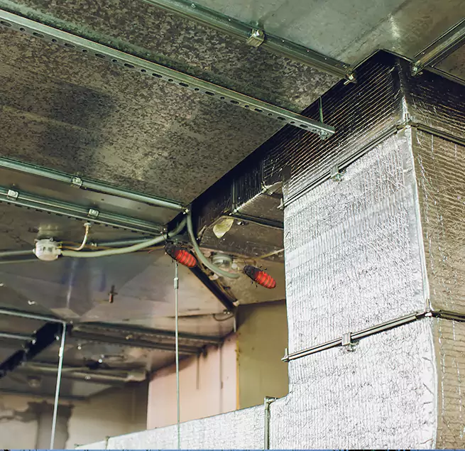 Why Homeowners & Businesses Trust Us in Ojus, FL?