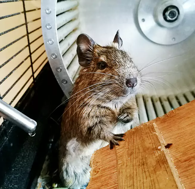 Why Homeowners & Businesses Trust Us Ojus, FL?