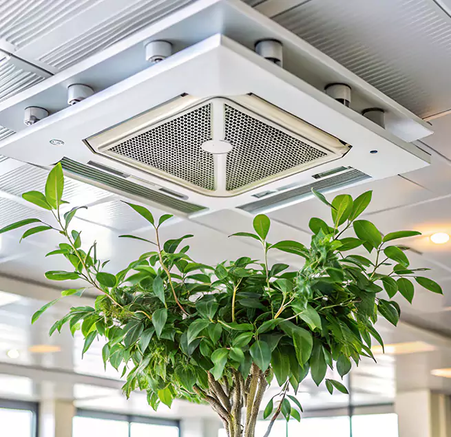 Why Homeowners & Businesses Trust Us in Ojus, FL?