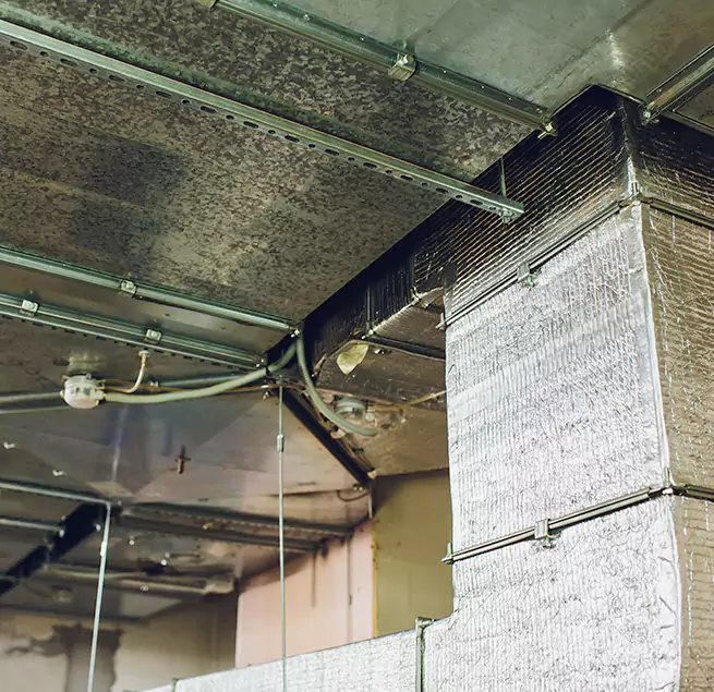 Why Homeowners & Businesses Trust Us in Ojus, FL?