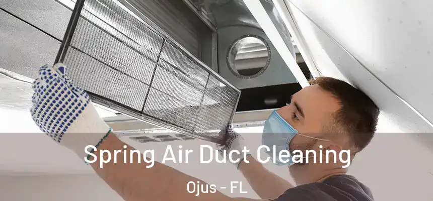 Spring Air Duct Cleaning Ojus - FL