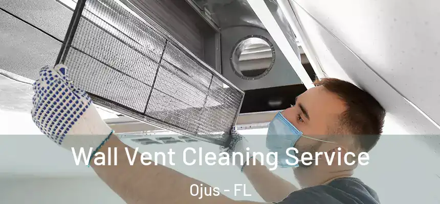 Wall Vent Cleaning Service Ojus - FL