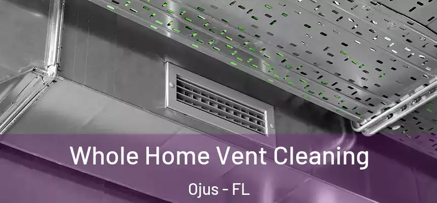 Whole Home Vent Cleaning Ojus - FL